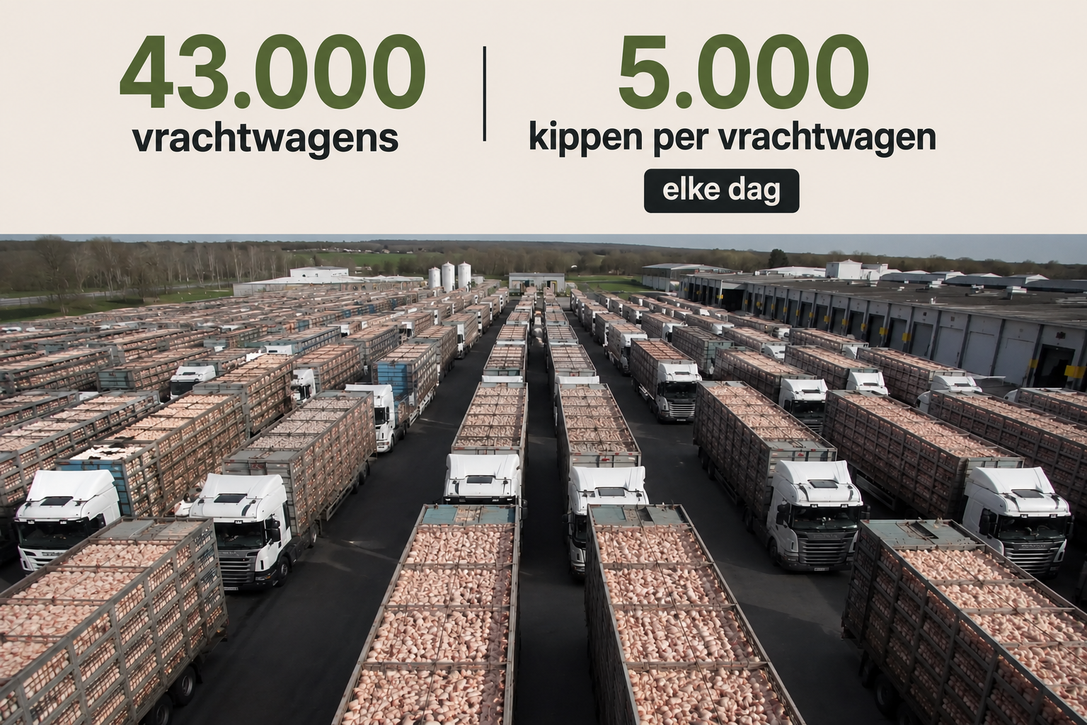 Perspectief op aantallen landdieren 10